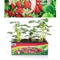 Antevisão Folheto LIDL Especial Jardinagem d22.jpg